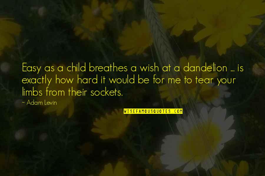 Dandelion Wish Quotes By Adam Levin: Easy as a child breathes a wish at