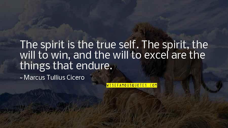 Dands Flooring Quotes By Marcus Tullius Cicero: The spirit is the true self. The spirit, Dands Flooring Quotes By Marcus Tullius Cicero: The spirit is the true self. The spirit,