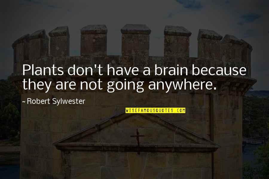 Dane Bernbach Quotes By Robert Sylwester: Plants don't have a brain because they are Dane Bernbach Quotes By Robert Sylwester: Plants don't have a brain because they are