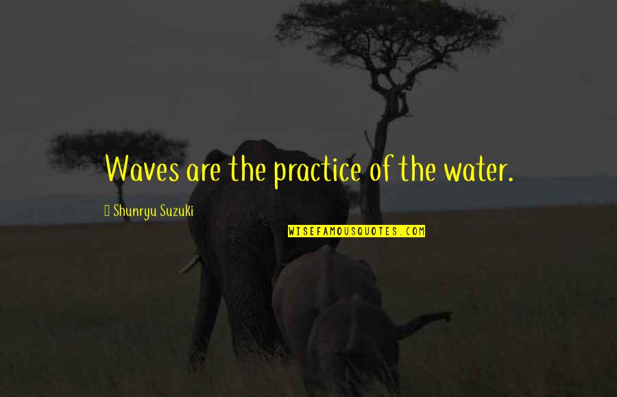 Dane Cook Kool Aid Quotes By Shunryu Suzuki: Waves are the practice of the water. Dane Cook Kool Aid Quotes By Shunryu Suzuki: Waves are the practice of the water.