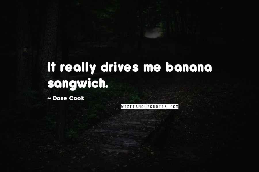 Dane Cook quotes: It really drives me banana sangwich.