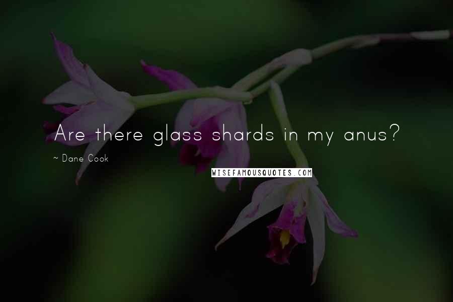 Dane Cook quotes: Are there glass shards in my anus?