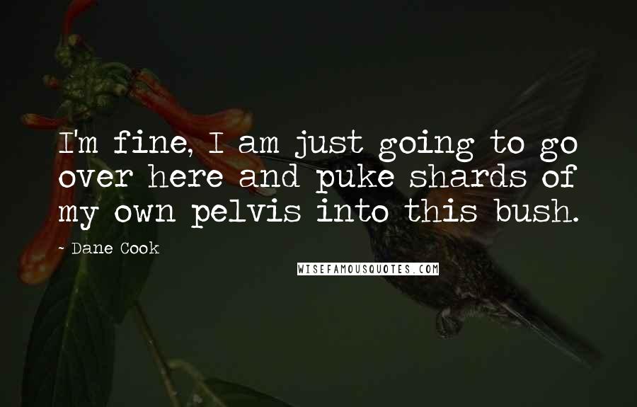 Dane Cook quotes: I'm fine, I am just going to go over here and puke shards of my own pelvis into this bush.