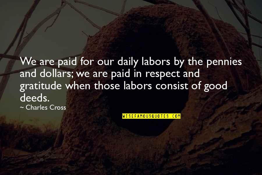 Danenberger Quotes By Charles Cross: We are paid for our daily labors by