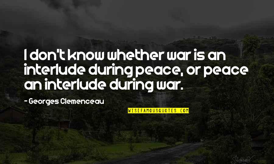 Daneydis Quotes By Georges Clemenceau: I don't know whether war is an interlude