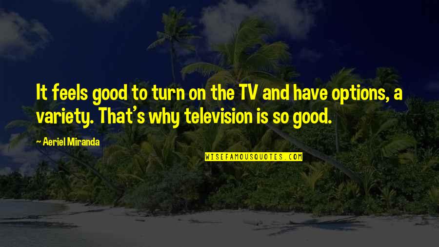Danford Hotel Quotes By Aeriel Miranda: It feels good to turn on the TV