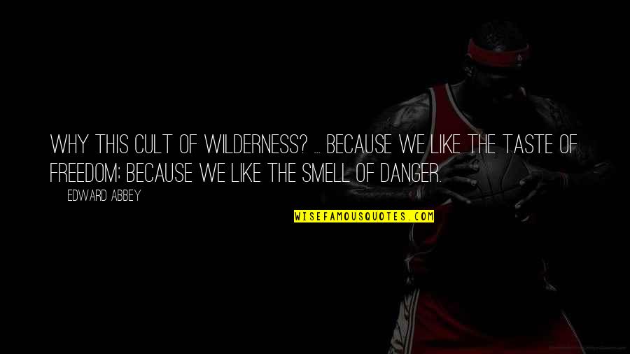 Danger Of Freedom Quotes By Edward Abbey: Why this cult of wilderness? ... because we Danger Of Freedom Quotes By Edward Abbey: Why this cult of wilderness? ... because we