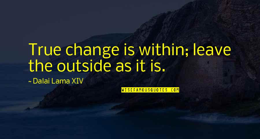 Danger Of Success Quotes By Dalai Lama XIV: True change is within; leave the outside as