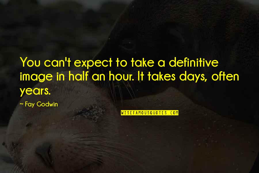 Danger Of Success Quotes By Fay Godwin: You can't expect to take a definitive image