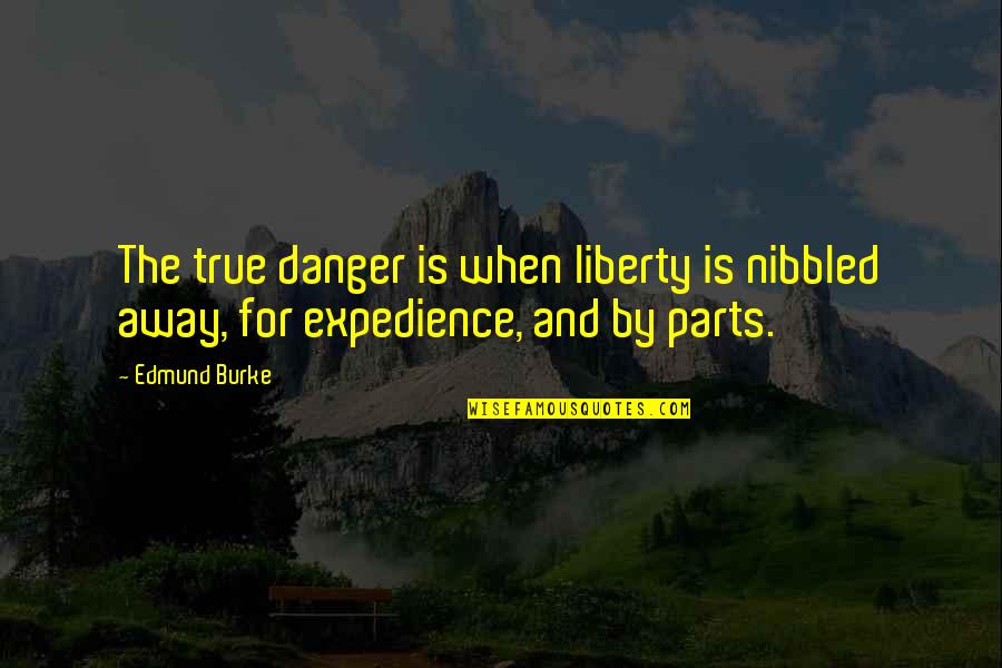 Danger Quotes By Edmund Burke: The true danger is when liberty is nibbled