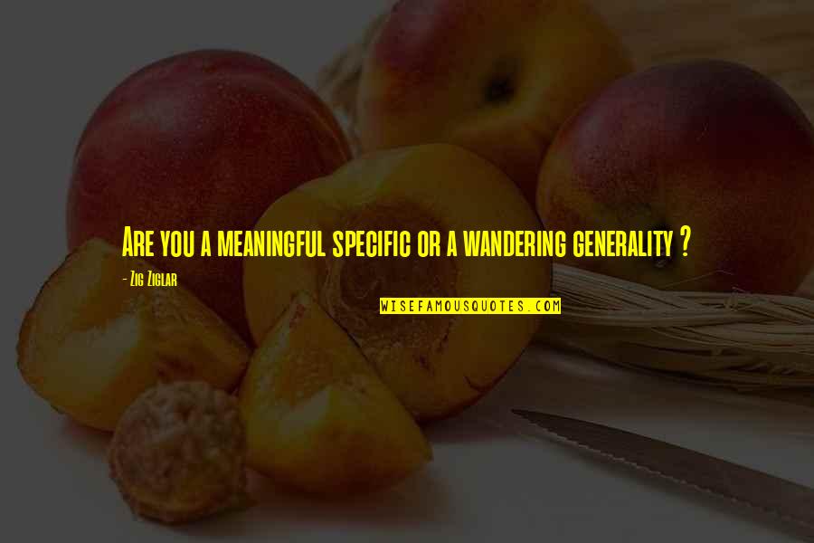 Danger Zone Memorable Quotes By Zig Ziglar: Are you a meaningful specific or a wandering
