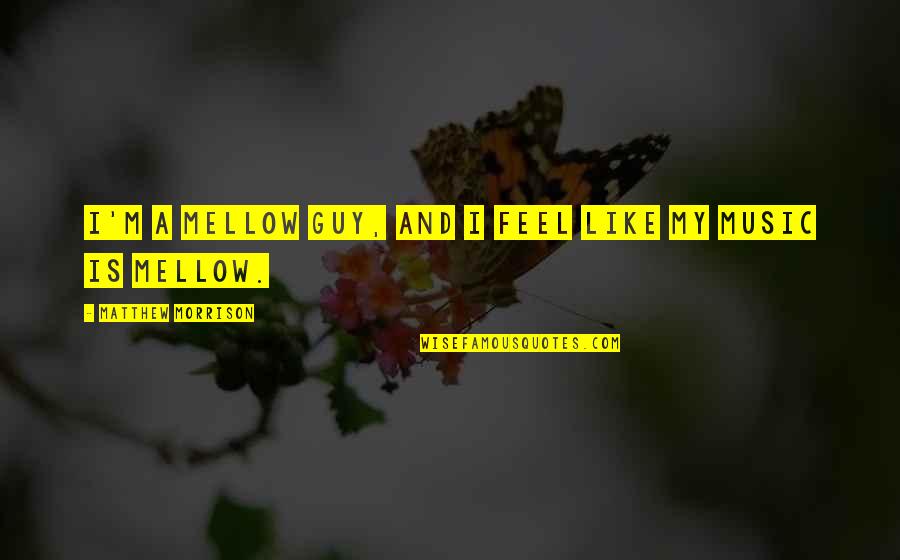 Dangerous Alliance Quotes By Matthew Morrison: I'm a mellow guy, and I feel like