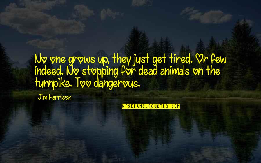Dangerous Animals Quotes By Jim Harrison: No one grows up, they just get tired. Dangerous Animals Quotes By Jim Harrison: No one grows up, they just get tired.