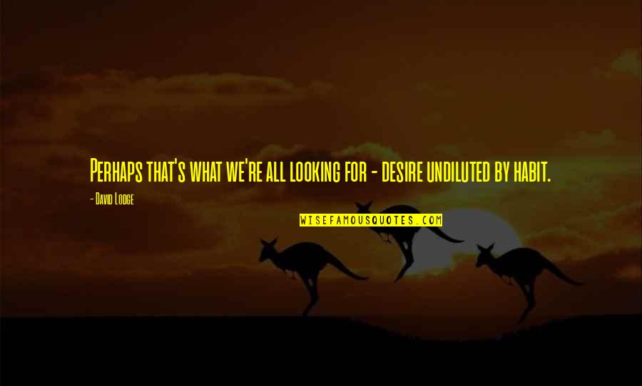 Dangerous Geese Quotes By David Lodge: Perhaps that's what we're all looking for -