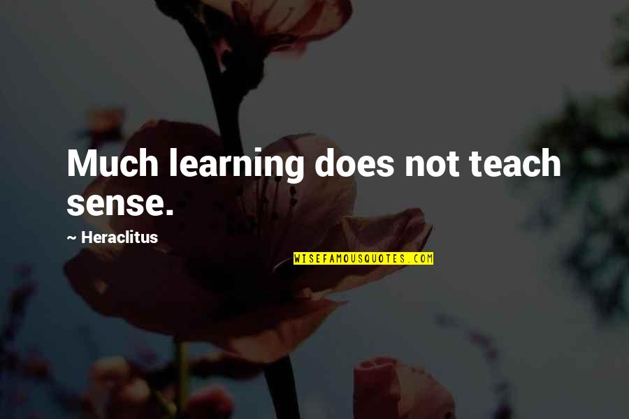 Dangerous Ground Quotes By Heraclitus: Much learning does not teach sense. Dangerous Ground Quotes By Heraclitus: Much learning does not teach sense.