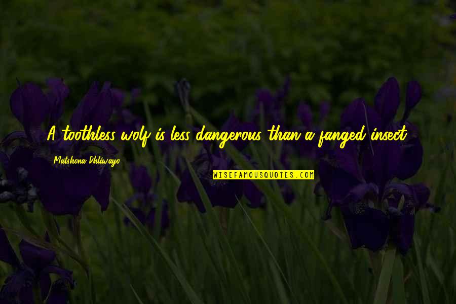 Dangerous Words Quotes By Matshona Dhliwayo: A toothless wolf is less dangerous than a