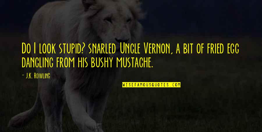 Dangling Quotes By J.K. Rowling: Do I look stupid? snarled Uncle Vernon, a