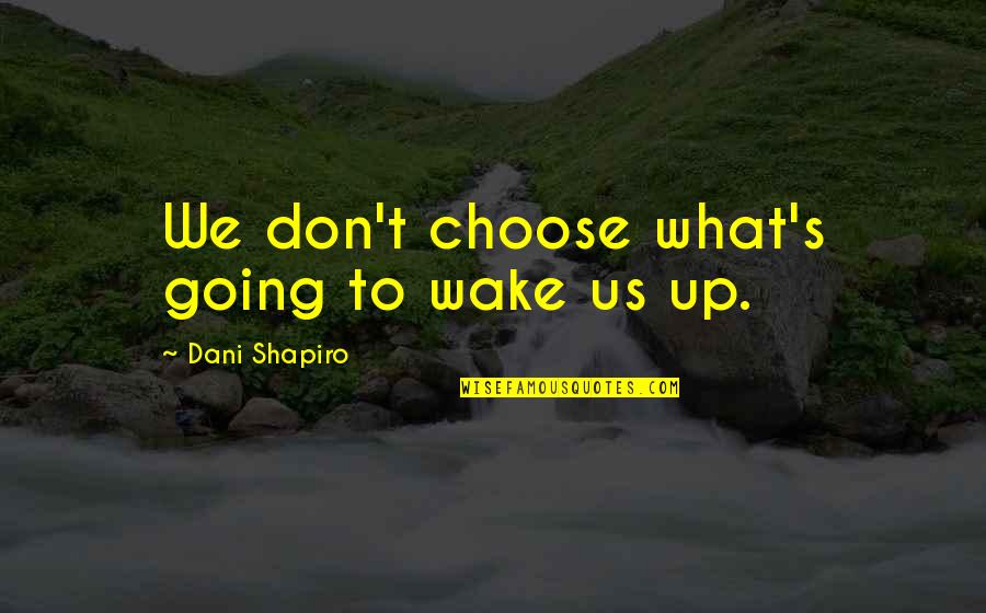 Dani O'malley Quotes By Dani Shapiro: We don't choose what's going to wake us