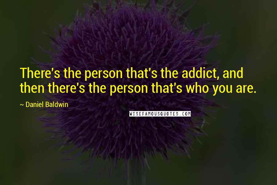 Daniel Baldwin quotes: There's the person that's the addict, and then there's the person that's who you are.