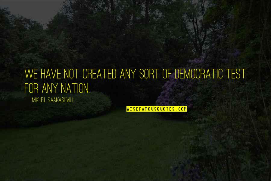 Daniel Bovet Quotes By Mikheil Saakashvili: We have not created any sort of democratic Daniel Bovet Quotes By Mikheil Saakashvili: We have not created any sort of democratic