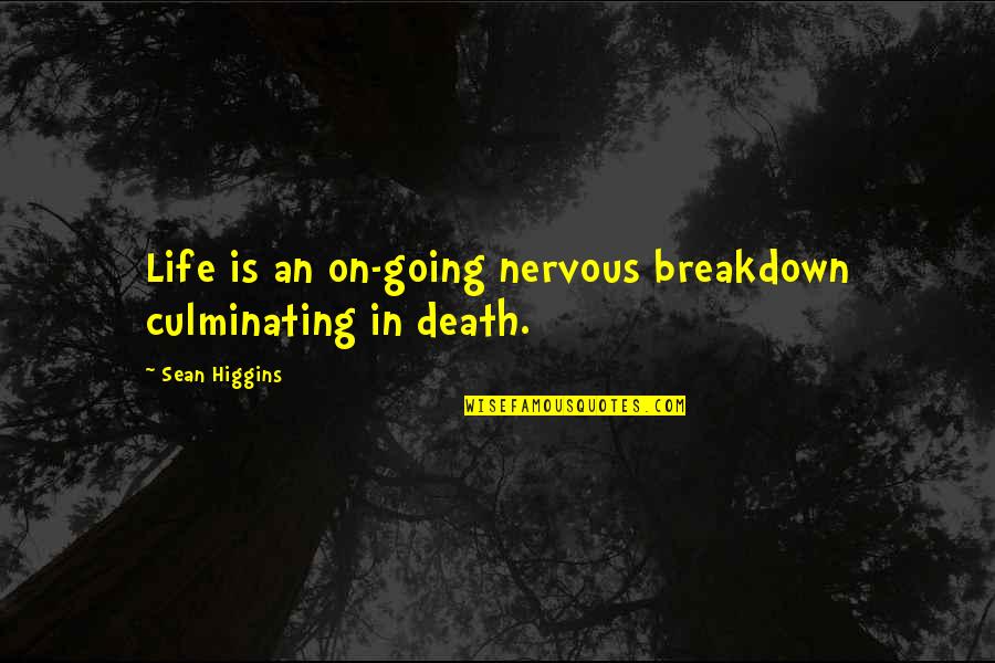 Daniel Burrus Quotes By Sean Higgins: Life is an on-going nervous breakdown culminating in