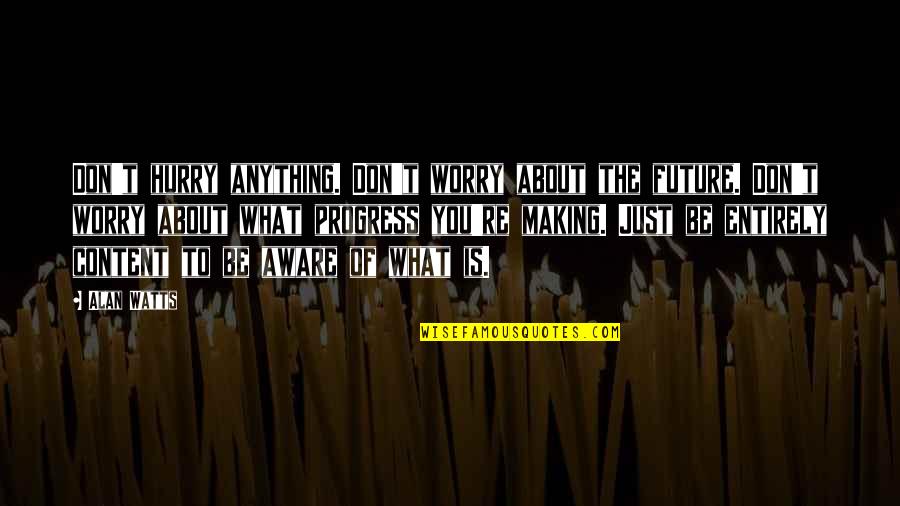 Daniel Carver Quotes By Alan Watts: Don't hurry anything. Don't worry about the future.