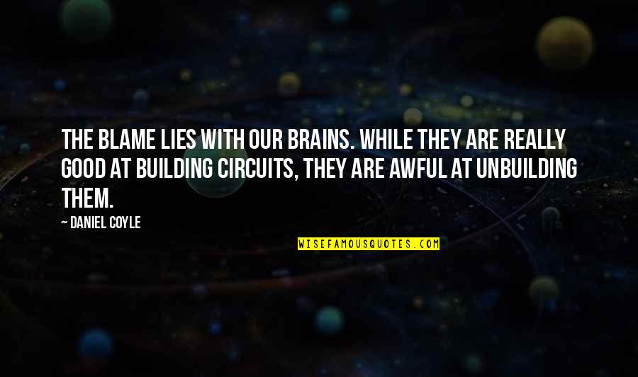 Daniel Coyle Quotes By Daniel Coyle: The blame lies with our brains. While they