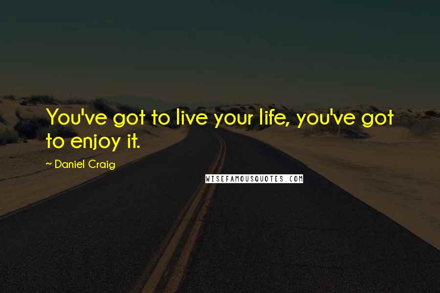 Daniel Craig quotes: You've got to live your life, you've got to enjoy it.