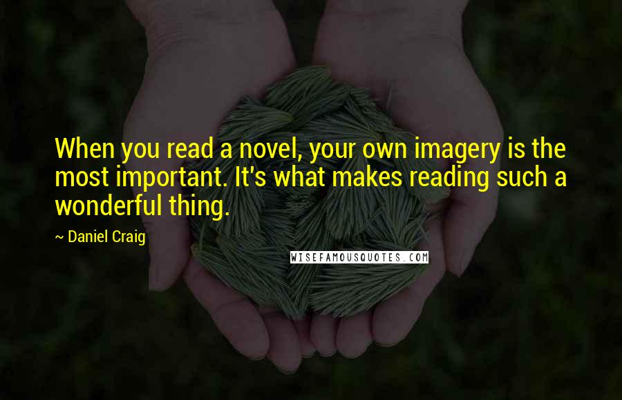 Daniel Craig quotes: When you read a novel, your own imagery is the most important. It's what makes reading such a wonderful thing.