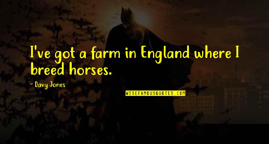 Daniel Delany Quotes By Davy Jones: I've got a farm in England where I Daniel Delany Quotes By Davy Jones: I've got a farm in England where I