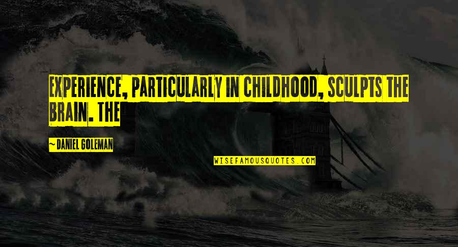 Daniel Goleman Quotes By Daniel Goleman: Experience, particularly in childhood, sculpts the brain. The