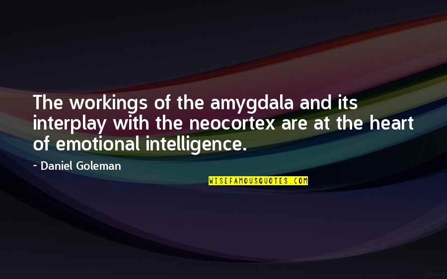 Daniel Goleman Quotes By Daniel Goleman: The workings of the amygdala and its interplay