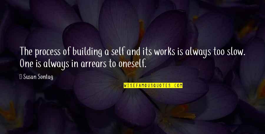 Daniel Henderson Quotes By Susan Sontag: The process of building a self and its