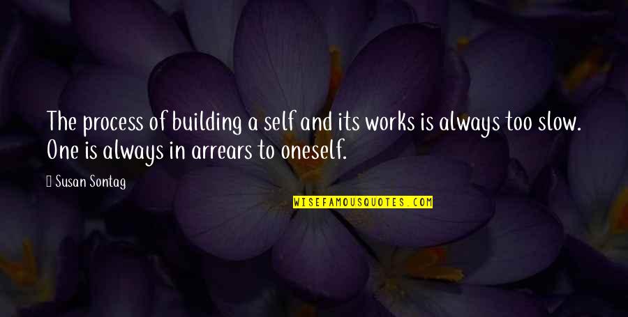Daniel Henderson Quotes By Susan Sontag: The process of building a self and its Daniel Henderson Quotes By Susan Sontag: The process of building a self and its