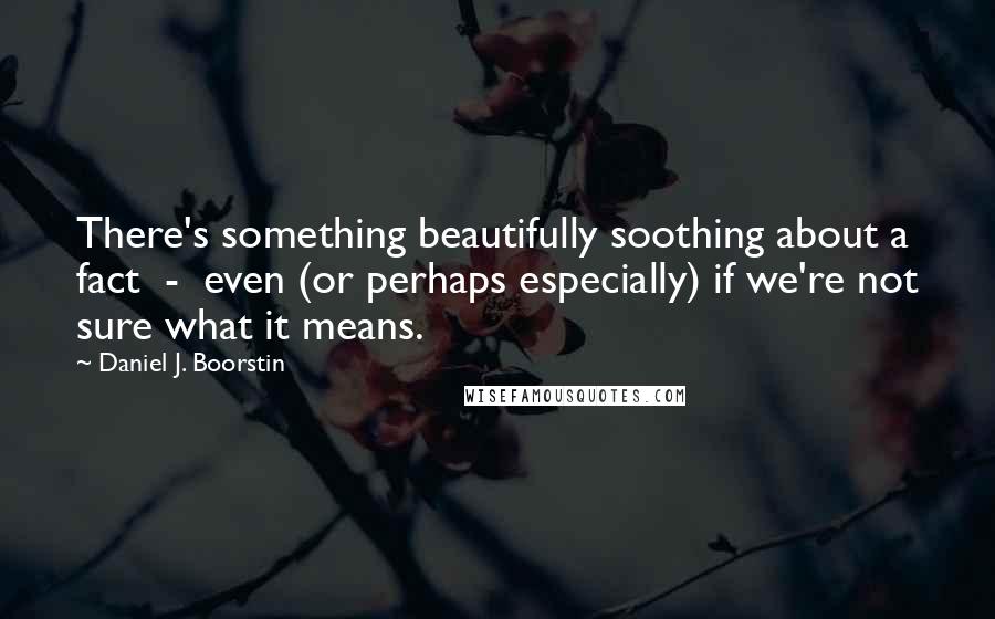 Daniel J. Boorstin quotes: There's something beautifully soothing about a fact - even (or perhaps especially) if we're not sure what it means.