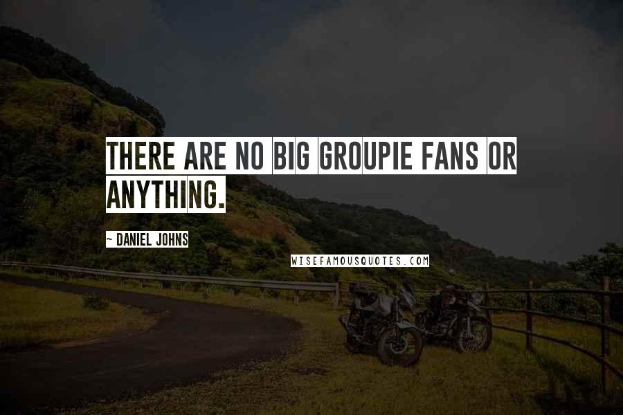 Daniel Johns quotes: There are no big groupie fans or anything.