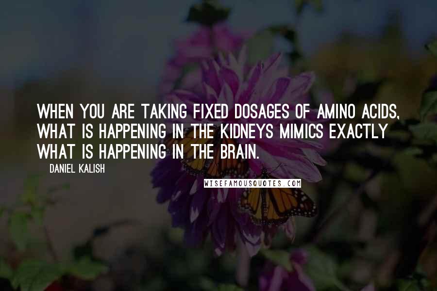 Daniel Kalish quotes: When you are taking fixed dosages of amino acids, what is happening in the kidneys mimics exactly what is happening in the brain.