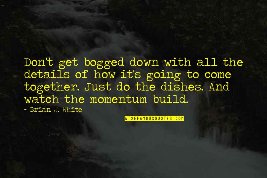 Daniel Kraft Quotes By Brian J. White: Don't get bogged down with all the details Daniel Kraft Quotes By Brian J. White: Don't get bogged down with all the details