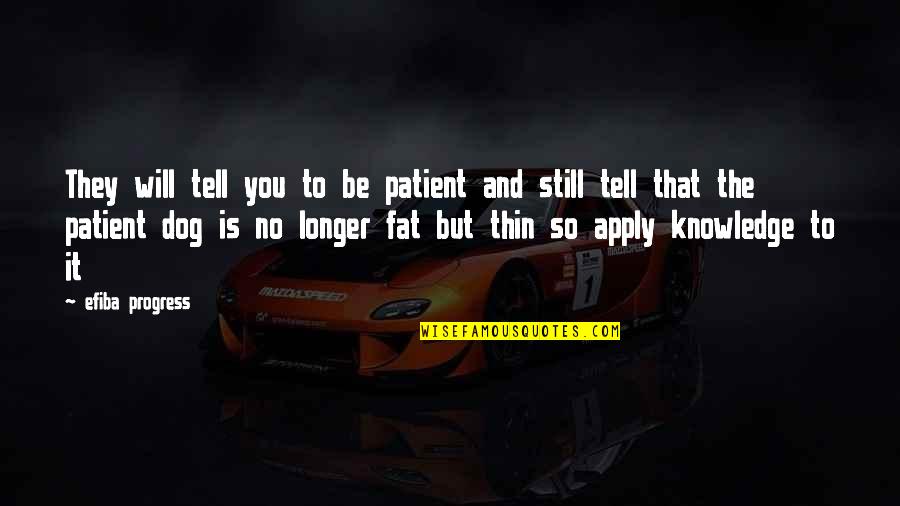 Daniel Lis Quotes By Efiba Progress: They will tell you to be patient and Daniel Lis Quotes By Efiba Progress: They will tell you to be patient and