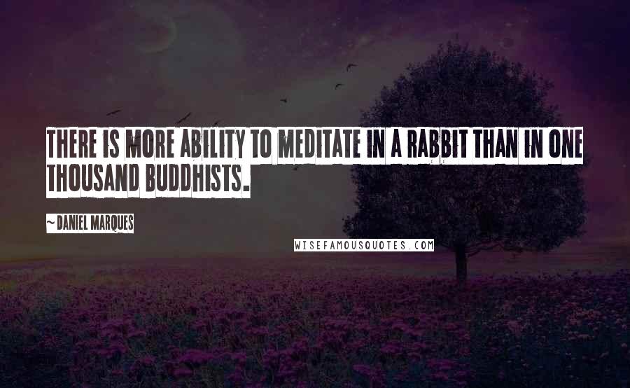 Daniel Marques quotes: There is more ability to meditate in a rabbit than in one thousand Buddhists. Daniel Marques quotes: There is more ability to meditate in a rabbit than in one thousand Buddhists.