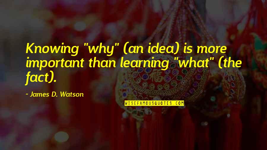 Daniel Paille Quotes By James D. Watson: Knowing "why" (an idea) is more important than