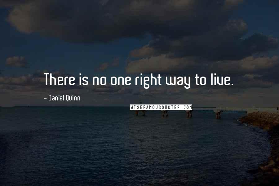 Daniel Quinn quotes: There is no one right way to live.