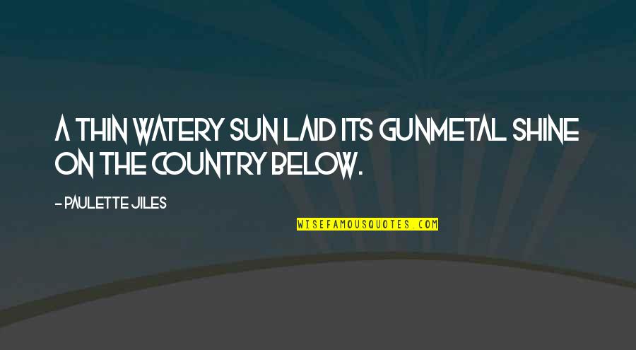 Daniel Ruettiger Quotes By Paulette Jiles: A thin watery sun laid its gunmetal shine Daniel Ruettiger Quotes By Paulette Jiles: A thin watery sun laid its gunmetal shine