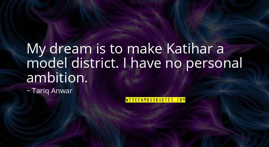 Daniel Skye Quotes By Tariq Anwar: My dream is to make Katihar a model