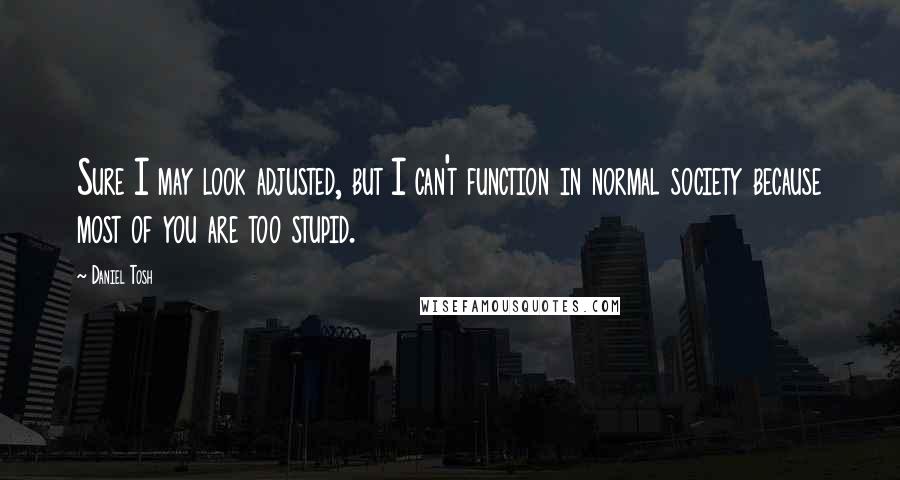 Daniel Tosh quotes: Sure I may look adjusted, but I can't function in normal society because most of you are too stupid.