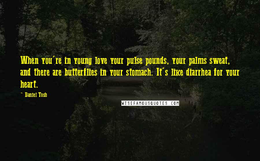 Daniel Tosh quotes: When you're in young love your pulse pounds, your palms sweat, and there are butterflies in your stomach. It's like diarrhea for your heart.