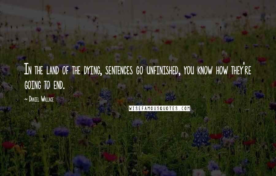 Daniel Wallace quotes: In the land of the dying, sentences go unfinished, you know how they're going to end.