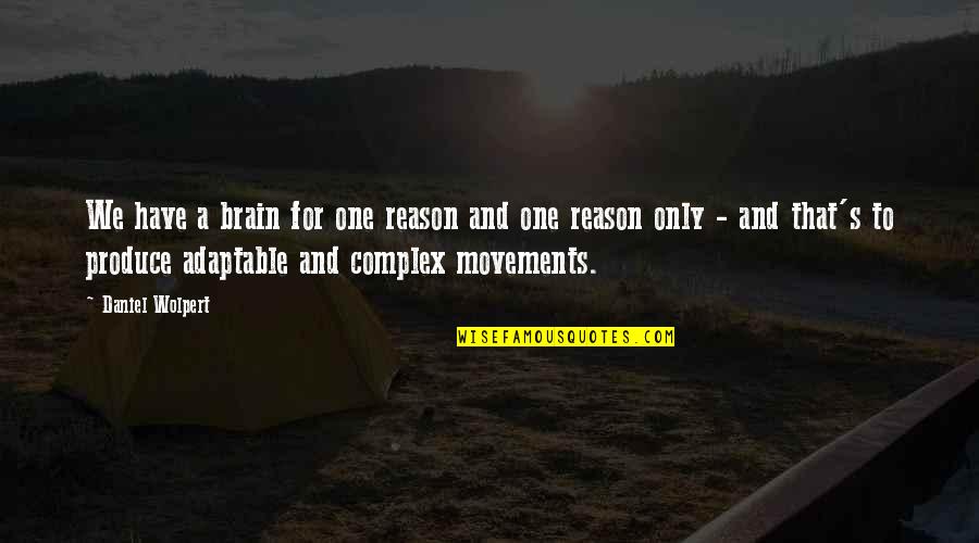 Daniel Wolpert Quotes By Daniel Wolpert: We have a brain for one reason and