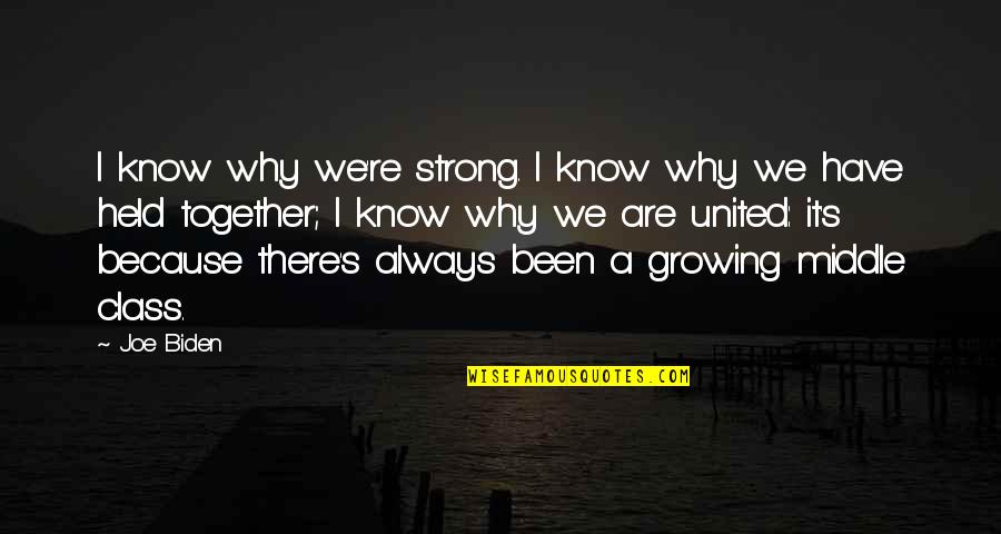 Daniel Wolpert Quotes By Joe Biden: I know why we're strong. I know why