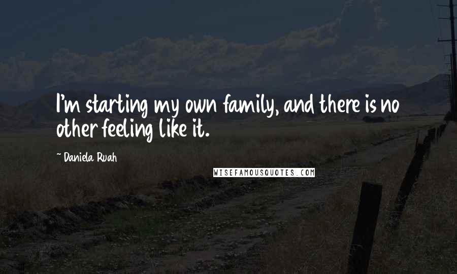 Daniela Ruah quotes: I'm starting my own family, and there is no other feeling like it.